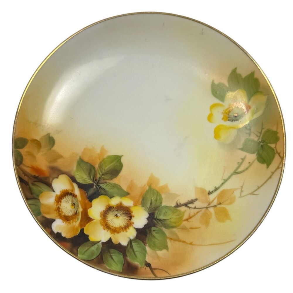 Antique Hand Painted Nippon Morimura Edwardian Cabinet‎ Plate Wild Rose Gold Rim